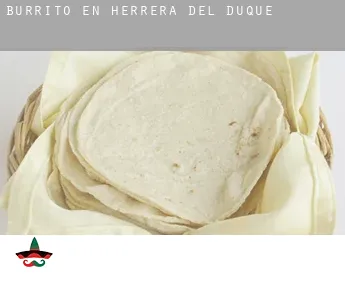 Burrito en  Herrera del Duque
