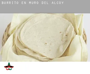 Burrito en  Muro del Alcoy