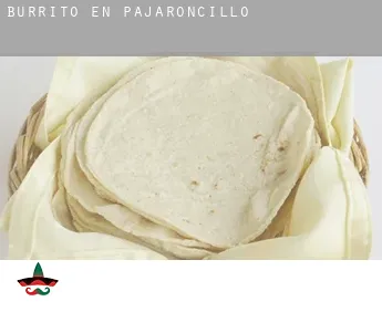 Burrito en  Pajaroncillo