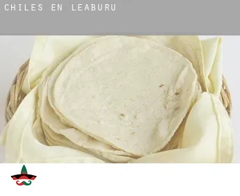 Chiles en  Leaburu