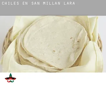Chiles en  San Millán de Lara