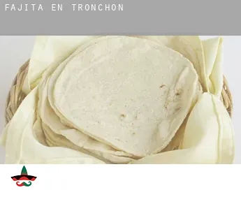 Fajita en Tronchón