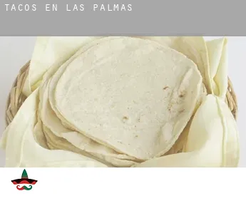 Tacos en  Las Palmas