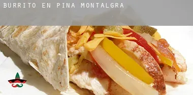 Burrito en Pina de Montalgrao