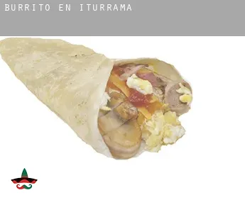 Burrito en  Iturrama