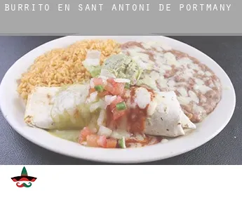 Burrito en  Sant Antoni de Portmany