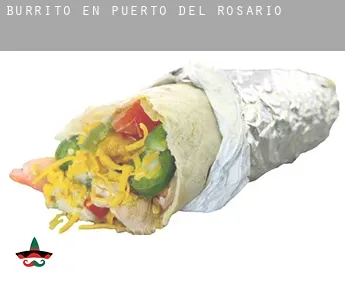 Burrito en  Puerto del Rosario