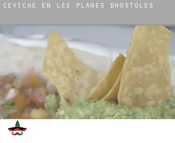 Ceviche en  les Planes d'Hostoles