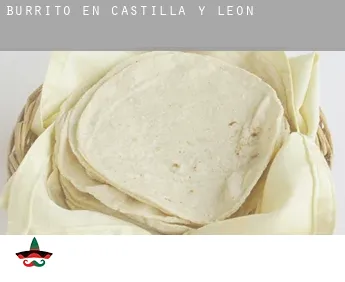 Burrito en  Castilla y León