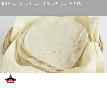 Burrito en Espinosa de Cerrato