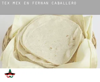 Tex mex en  Fernán Caballero