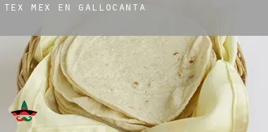 Tex mex en Gallocanta