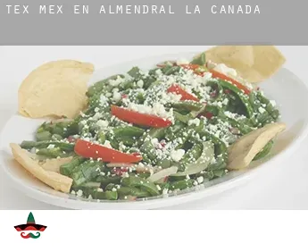 Tex mex en  Almendral de la Cañada