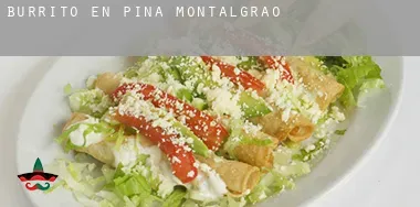 Burrito en  Pina de Montalgrao