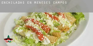 Enchiladas en  Meneses de Campos