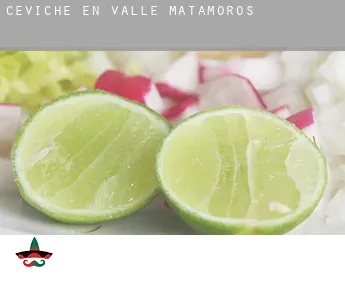 Ceviche en  Valle de Matamoros