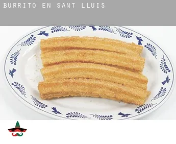 Burrito en  Sant Lluís