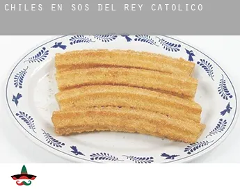 Chiles en  Sos del Rey Católico