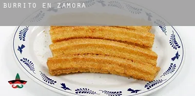 Burrito en  Zamora