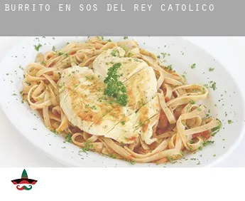 Burrito en Sos del Rey Católico