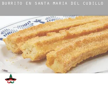 Burrito en  Santa María del Cubillo