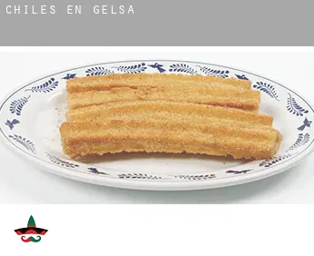 Chiles en  Gelsa