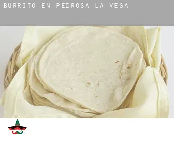 Burrito en  Pedrosa de la Vega
