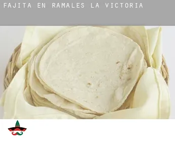 Fajita en  Ramales de la Victoria