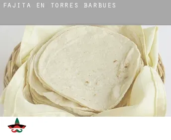 Fajita en Torres de Barbués