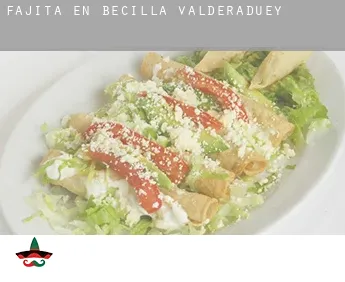 Fajita en  Becilla de Valderaduey