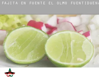 Fajita en  Fuente el Olmo de Fuentidueña