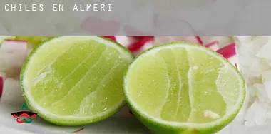 Chiles en Almería