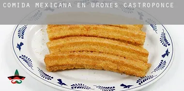 Comida mexicana en  Urones de Castroponce