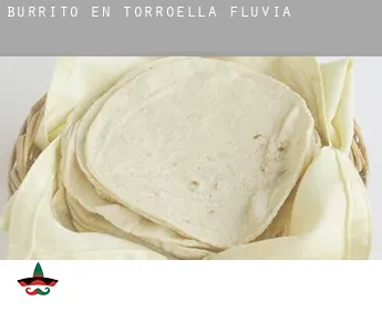 Burrito en  Torroella de Fluvià