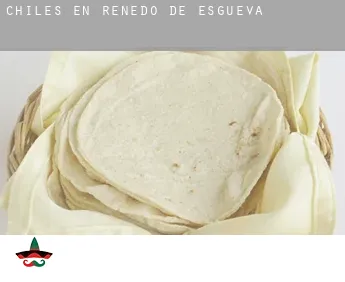 Chiles en  Renedo de Esgueva