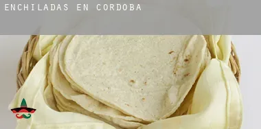 Enchiladas en  Córdoba