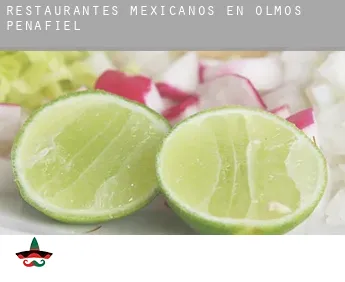 Restaurantes mexicanos en  Olmos de Peñafiel