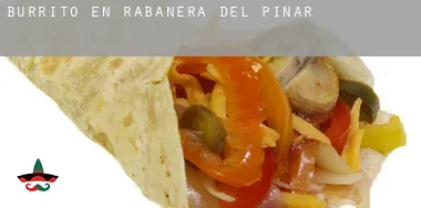 Burrito en  Rabanera del Pinar