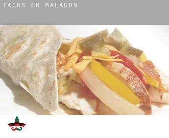 Tacos en  Malagón