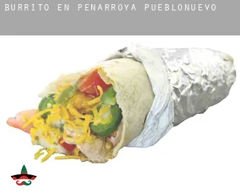 Burrito en  Peñarroya-Pueblonuevo