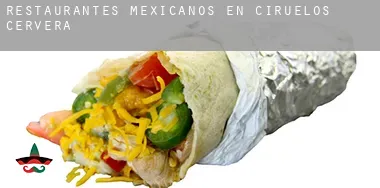 Restaurantes mexicanos en  Ciruelos de Cervera