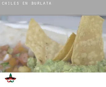 Chiles en  Burlata