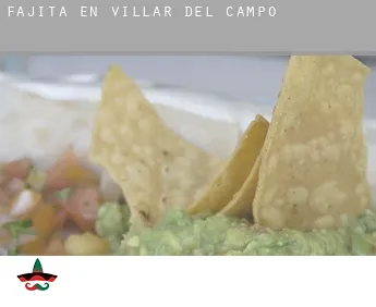 Fajita en  Villar del Campo