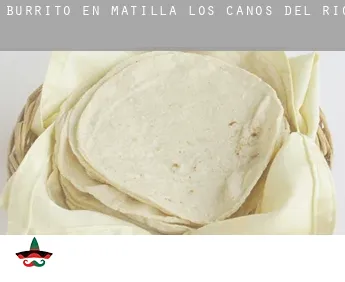 Burrito en  Matilla de los Caños del Río