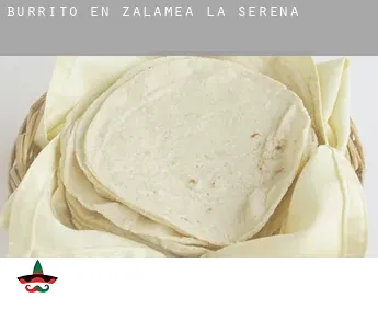 Burrito en  Zalamea de la Serena