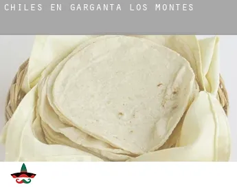 Chiles en  Garganta de los Montes