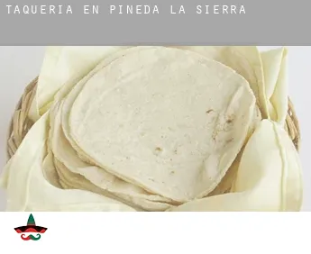 Taquería en  Pineda de la Sierra