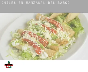Chiles en Manzanal del Barco