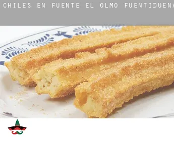 Chiles en  Fuente el Olmo de Fuentidueña